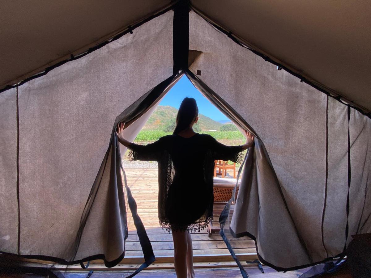 Hotel Cuatro Cuatros เอนเซนาดา ภายนอก รูปภาพ